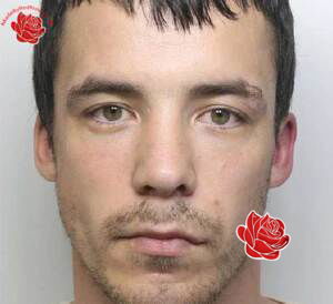 Anthony Stone – profile image
