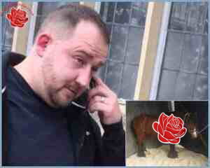 Robert Hunter – profile image
