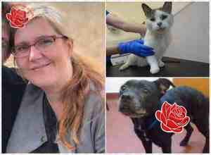 Nicola Barnes – profile image