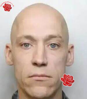 Stephen Gill – profile image