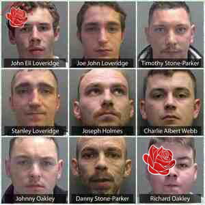 Stolen puppies found  during police investigation into activities of a prolific traveller crime gang – profile image