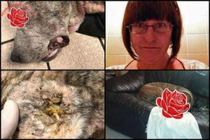 Juliet Venables and John Anderson – profile image