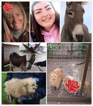 Suzzana ‘Sue’ Taylor, daughter Grace Taylor, and boyfriend Andrew Lomas – profile image