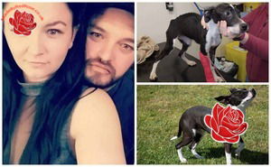Samantha Dean and Thomas Evans – profile image