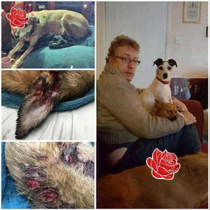 Roy Busby – profile image