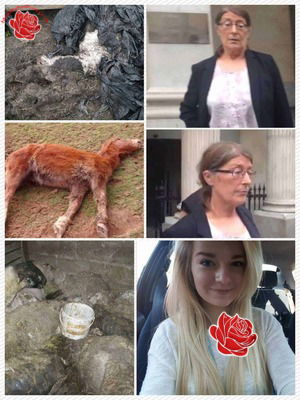 Susan Smith, Mark Downes, Georgina Blizzard Smith – profile image