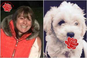 Lisa Canning – profile image