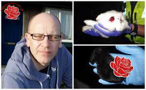 Stephen Emsley – profile image