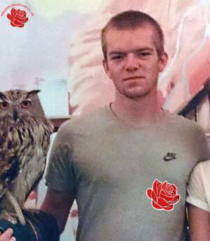 Robert McKie – profile image