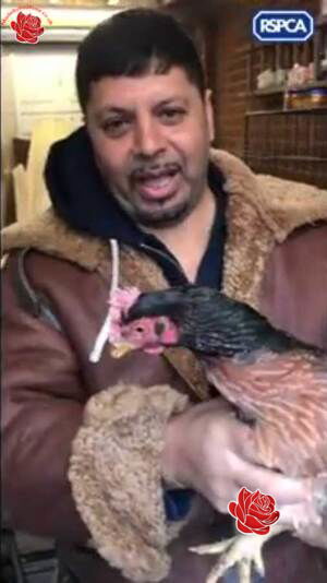 Pakistani cockfighting gang – profile image