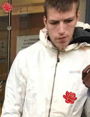 Stewart Milne – profile image
