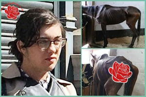 Natasha Waller – profile image