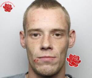 Thomas Miller – profile image