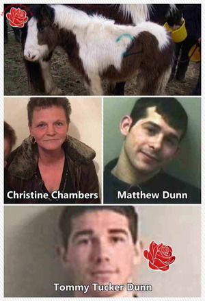 Harry Dunn, Tommy Dunn, Matthew Dunn and Christine Chambers – profile image