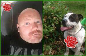 Sean Murphy – profile image
