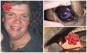 Jonathan Hurst – profile image