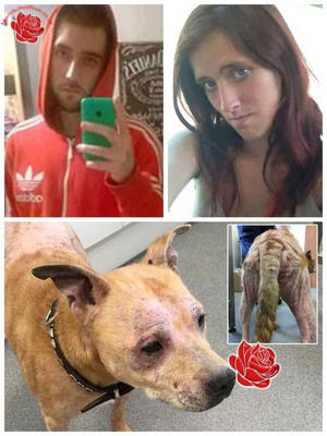 Donna Prince and Kelvin Andrews – profile image
