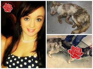 Amy Denby – profile image