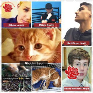 Keane Mitchell Thorpe, Ethan Lewis, Mitch Smith and Seif Naili – profile image