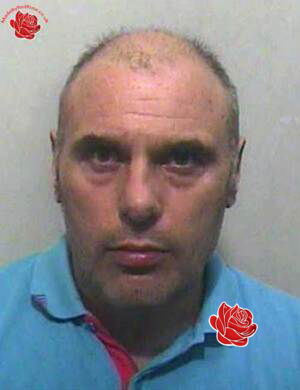 Paul Alton – profile image