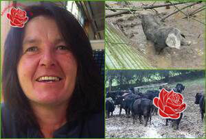 Theresa Cowling – profile image