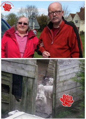 David & Marilyn Govan – profile image