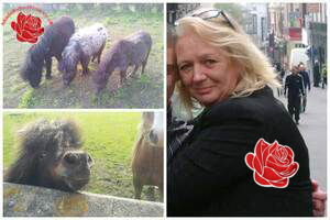 Gillian Glastonbury and Ian Macdonald-Sutherland – profile image