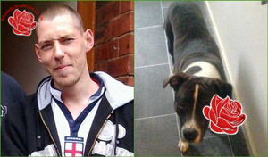 Martin Doyle – profile image