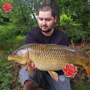 Kieran Taylor – profile image