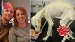 Christopher Rushton and Kirsty Hales – profile image