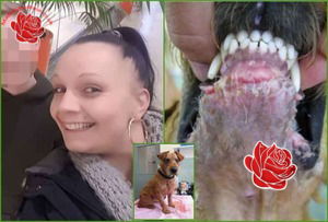 Charmaine Grogan – profile image