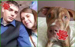 Shaun Stobbs and Louise Stoakes – profile image