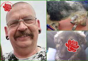 Nigel Streater – profile image