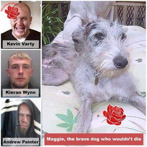 Kieran Wynn, Andrew John Painter and Kevin Varty – profile image