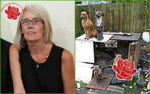 Jeanette Smith – profile image