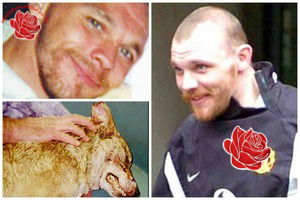 Shaun Furgusson – profile image