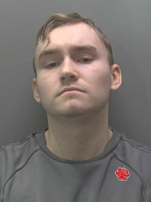 Max Roberts – profile image