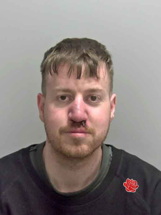 Norwich-based puppy selling ring led by serial animal abuser Michael Rushmer – profile image