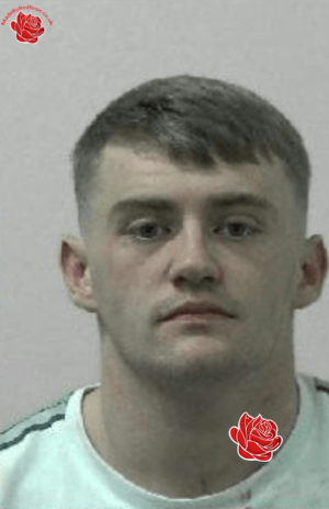 David Gallon/David Storey – profile image