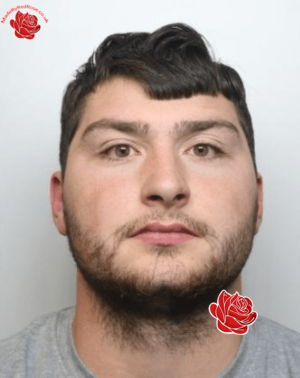 Tom Piggott – profile image