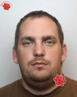 Steven Sayles – profile image