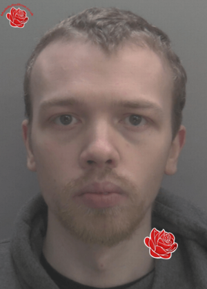 Lewis Watts – profile image