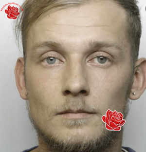Damian Lasota – profile image