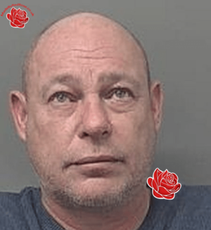 Paul Woollock – profile image