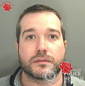 David Parsons – profile image