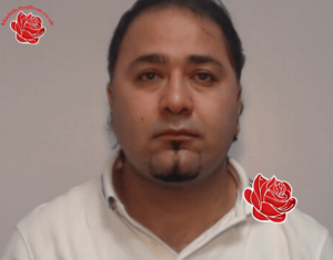 Ali Amiri – profile image