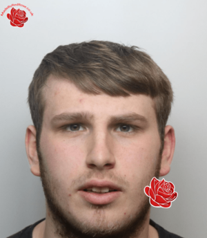 Rhys Long – profile image