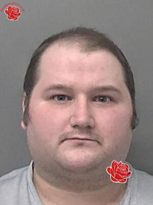 Thomas Daly – profile image