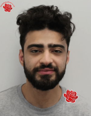 Sajad Jamalvatan – profile image