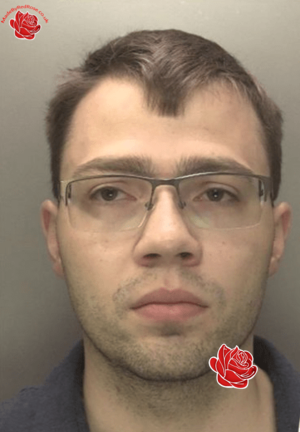 Matthew Whitehouse – profile image